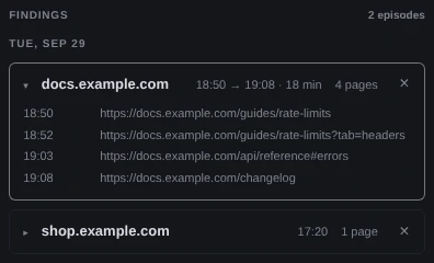Findings, 2 episodes: docs.example.com opened to its four addresses, one of them ending in ?tab=headers and one in #errors, and shop.example.com, 1 page, closed.
